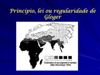 Princípio, lei ou regularidade de
Gloger

 