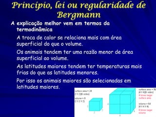 Princípio, lei ou regularidade de
Bergmann

A explicação melhor vem em termos da
termodinâmica

A troca de calor se relaciona mais com área
superficial do que o volume.
Os animais tendem ter uma razão menor de área
superficial ao volume.

As latitudes maiores tendem ter temperaturas mais
frias do que as latitudes menores.
Por isso os animais maiores são selecionadas em
latitudes maiores.

 