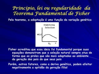 Princípio, lei ou regularidade da
Teorema Fundamental de Fisher
Pela teorema, a adaptação é uma função da variação genética

Fisher acreditou que essa ideia foi fundamental porque suas
equações demonstram que a seleção natural sempre atua de
forma que as proles que são mais adaptadas ao ambiente
da geração dos pais do que seus pais
Porém, outros fatores, como a deriva genética, podem afeitar
negativamente a aptidão da geração filial

 