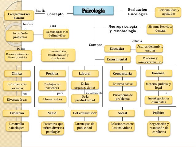 Resultado de imagen para mapas conceptuales de que es psicologia