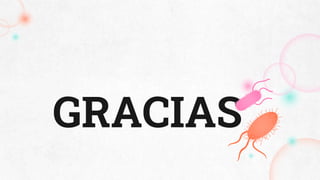 GRACIAS
 