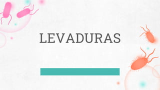 LEVADURAS
 