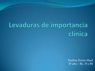 Levaduras de importancia clínica Paulina Torres Abad IV año – BC, H y BS 