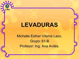 LEVADURAS
Michelle Esther Vilema Lazo.
        Grupo: 61-B
 Profesor: Ing. Ana Avilés.
 