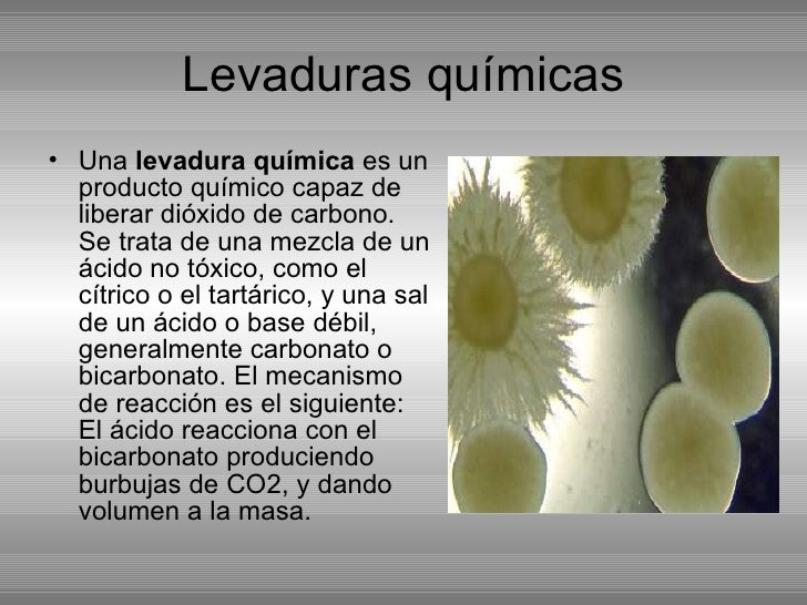 Levaduras Y Hongos