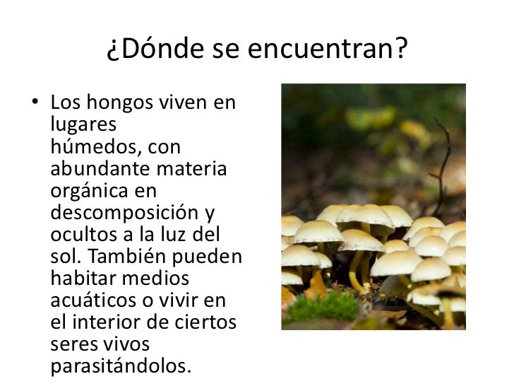 Si es posible se contagiará por el hongo de las uñas en la cama