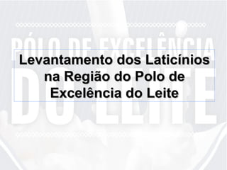 Levantamento dos Laticínios na Região do Polo de Excelência do Leite 