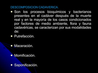 DESCOMPOSICION CADAVERICA. Son los procesos bioquímicos y bacterianos presentes en el cadáver después de la muerte real y en la mayoría de los casos condicionados por factores de medio ambiente, flora y fauna cadavéricas, se caracterizan por sus modalidades de: Putrefacción. Maceración. Momificación. Saponificación. 