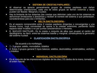 SISTEMA DE CRESTAS PAPILARES .-  Al observar se aprecia generalmente grupos de crestas papilares que dañan determinadas orientaciones; cada una de estos grupos se llamen  sistemas  y estos pueden ser Basilar, Marginal y nuclear. Hay la limitante de los sistemas (las crestas que delimitan cada uno de los sistemas se denominan limitaciones o directrices y reciben el nombre del sistema a que pertenecen, considerándose para eso 3 limitantes. DELTA DACTILOSCOPIA .-  Es el espacio comprendido entre 2 crestas papilares dirigentes o convergentes y una tercera curva, cuya convexidad se opone a la crestas anteriores, perdiendo dicho espacio estar invadido o no por puntos característicos o menores. E. NUCLEO DACTILAR.- Es la cresta o conjunto de ellos que ocupan el centro del dactilograma, es decir, entre los sistemas basilar y marginal, constituyendo la generatriz del sistema nucleal. CLASFICACIÓN DACTILOSCÓPICA De acuerdo a la morfología.  1.- 3 grupos: adelto, monodeltos, bideltos 2. Estos 3 grupos general 5 tipos básicos: adeltos, dextrodeltos, sinistrodeltos, verticilos y tridoltos   INDIVIDUAL DACTILOSCÓPIA   Es el conjunto de las impresiones digitales de los diez (10) dedos de la mano, tomado en el orden natural. 