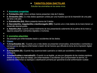 TARATOLOGIA DACTILAR .  Estudiar las anomalías en los seres vivos.   1.  Anomalías congénitas a. Polidactilia (AD) : Una o ambas manos presentan más de 5 dedos. b. Sindactilia (SD) : 2 o más dedos aparecen unidos por una muestra que da la impresión de una pata de rana o de pato. c. Extradactìlia (Ed).  Mano presenta menos de 5 dedos  d. Nacrodactilia, megadactilia o dactilomegalia (MD) : Cuando uno o más dedos de la mano tienen un desarrollo desmenuzado. e. Adactilia (Ad):  Cuando carece totalmente de dos presentando solamente de la palma de la mano y algunos pequeños rudimentos digitales o muñones.   2.  anomalías adquiridas Se presetan por enfermedades lesión o accidentes de los dedos. Clases : 1) Anquilosados (K) .- Cuando uno o más dedos se presentan encorvados, endurecidos o contraídos a consecuencia de alguna enfermedad o lesión de tal manera que dificulta la toma de la impresión digital complete. 2) Amputadas (O).-  Cuando hay ausencia total o parcial e un dedo por accidente o intervención quirúrgica. 3) Inclasificables o marcados(X).-  Cuando no es legible, ya sea por desgaste de las crestas papilares debido a ciertas tipos de trabajo, por enfermedades o accidentes que Comprometen la dermis, no pudiendo determinar su tipología o clasificación primaria por ignorarse la eral conformación nuclear. 
