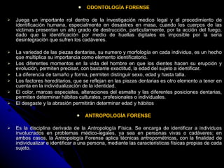 ODONTOLOGÍA FORENSE   Juega un importante rol dentro de la investigación medico legal y el procedimiento de identificación humana, especialmente en desastres en masa, cuando los cuerpos de las victimas presentan un alto grado de destrucción, particularmente, por la acción del fuego, dado que la identificación por medio de huellas digitales es imposible por la seria desintegración que sufren los cadáveres.    La variedad de las piezas dentarias, su numero y morfología en cada individuo, es un hecho que multiplica su importancia como elemento identificatorio.  Los diferentes momentos en la vida del hombre en que los dientes hacen su erupción y evolución, permiten precisar, con bastante exactitud, la edad del sujeto a identificar.  La diferencia de tamaño y forma, permiten distinguir sexo, edad y hasta talla.  Los factores hereditarios, que se reflejan en las piezas dentarias es otro elemento a tener en cuenta en la individualización de la identidad.  El color, marcas especiales, alteraciones del esmalte y las diferentes posiciones dentarias, permiten determinar hábitos culturales, profesionales o individuales.  El desgaste y la abrasión permitirán determinar edad y hábitos   ANTROPOLOGÍA FORENSE   Es la disciplina derivada de la Antropología Física. Se encarga de identificar a individuos involucrados en problemas médico-legales, ya sea en personas vivas o cadáveres; en ambos casos, la Antropología Forense aplica técnicas antropométricas, con la finalidad de individualizar e identificar a una persona, mediante las características físicas propias de cada sujeto.  