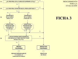 PROCEDIMIENTO
         PARA LA
      EVALUACIÓN




FICHA 3
 