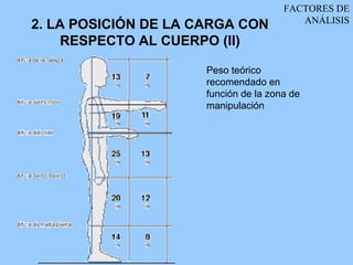 FACTORES DE
                                          ANÁLISIS
2. LA POSICIÓN DE LA CARGA CON
     RESPECTO AL CUERPO (II)

                      Peso teórico
                      recomendado en
                      función de la zona de
                      manipulación
 