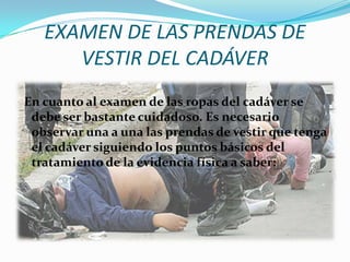 EXAMEN DE LAS PRENDAS DE
      VESTIR DEL CADÁVER
En cuanto al examen de las ropas del cadáver se
 debe ser bastante cuidadoso. Es necesario
 observar una a una las prendas de vestir que tenga
 el cadáver siguiendo los puntos básicos del
 tratamiento de la evidencia física a saber:
 