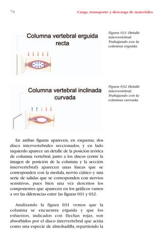 70 Carga, transporte y descarga de materiales
Figura 031. Detalle
intervertebral.
Trabajando con la
columna erguida.
Figura 032. Detalle
intervertebral.
Trabajando con la
columna curvada.
En ambas figuras aparecen, en esquema, dos
disco intervertebrales seccionados, y en lado
izquierdo aparece un detalle de la posición teórica
de columna vertebral, junto a los discos (entre la
imagen de posición de la columna y la sección
intervertebral) aparecen unas líneas que se
corresponden con la medula, nervio ciático y una
serie de salidas que se corresponden con nervios
sensitivos, pues bien una vez descritos los
componentes que aparecen en los gráficos vamos
a ver las diferencias entre las figuras 031 y 032.
Analizando la figura 031 vemos que la
columna se encuentra erguida y que los
esfuerzos, indicados con flechas rojas, son
absorbidos por el disco intervertebral que actúa
como una especie de almohadilla, repartiendo la
LIBRO CARGA Y DESCARGA AECOM:Maquetación 1 12/12/12 16:58 Página 70
LIBRO CARGA Y DESCARGA AECOM.pdf70 70LIBRO CARGA Y DESCARGA AECOM.pdf70 70 28/1/13 11:51:4128/1/13 11:51:41
 