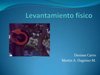 Levantamiento fisico Denisse Carro Martin A. Dagnino M. 
