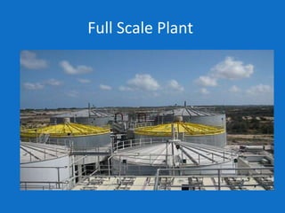 Full Scale Plant
 