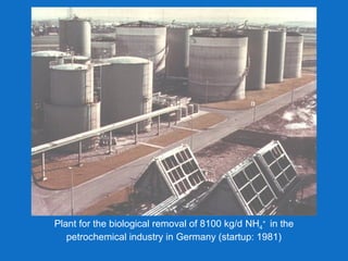 Plant for the biological removal of 8100 kg/d NH4
+
in the
petrochemical industry in Germany (startup: 1981)
 