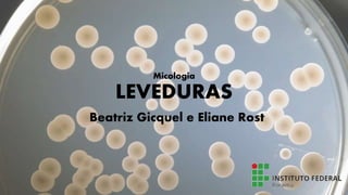 Micologia
LEVEDURAS
Beatriz Gicquel e Eliane Rost
 