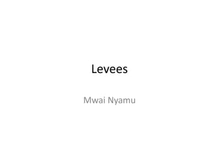 Levees

Mwai Nyamu
 