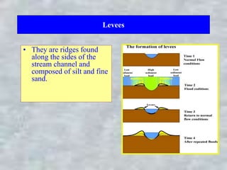 Levees
• They are ridges found
along the sides of the
stream channel and
composed of silt and fine
sand.
 