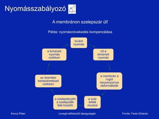 ǳááǳó
                        A membránon szelepszár ül!

                     Példa: nyomásnövekedés kompenzálása

                                         kívánt
                                        nyomás

                     a kimeneti                                nő a
                      nyomás                                 kimeneti
                      csökken                                nyomás




                                                              a membrán a
                 az áramlási
                                                                  rugót
               keresztmetszet
                                                              összenyomva
                  csökken
                                                              deformálódik



                          a szeleptányért          a szár
                           a szelepülék             lefelé
                            felé közelíti          mozdul

 Koncz Péter                 Levegő-előkészítő tápegységek                   Forrás: Festo Didactic
 