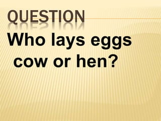 QUESTION
Who lays eggs
cow or hen?
 