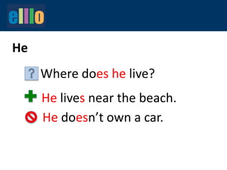 He
Where does he live?
He lives near the beach.
He doesn’t own a car.
 