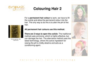n a t u r a l h a i r c a r e t e c h n o l o g y
Colouring Hair 2
For a permanent hair colour to work, we have to lift
the cuticle and allow the permanent colour into the
hair. The only way to do this is to alter the pH of the
hair.
All permanent hair colours use this method.
There are 2 ways to open the cuticle. The traditional
method uses ammonia, which is highly effective, but
can damage the hair. The alternative method uses the
latest technology, where the active ingredient for
raising the pH is mildly alkaline and acts as a
conditioning agent.
Human scalp hair, 700x
magnification
 