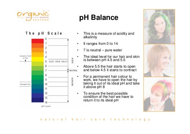 Professional Salon Hair Color Education Level 1