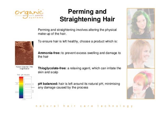 Professional Salon Hair Color Education Level 1