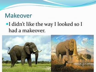 Makeover
I didn’t like the way I looked so I
 had a makeover.
 