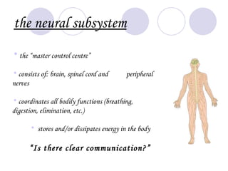 the neural subsystem
• the “master control centre”

• consists of: brain, spinal cord and      peripheral
nerves

• coordinates all bodily functions (breathing,
digestion, elimination, etc.)

      • stores and/or dissipates energy in the body

      “Is there clear communication?”
 
