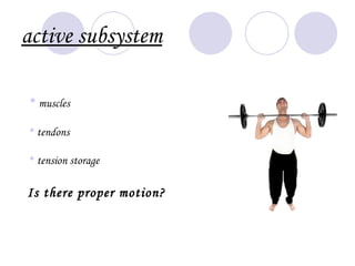 active subsystem

• muscles

• tendons

• tension storage

Is there proper motion?
 