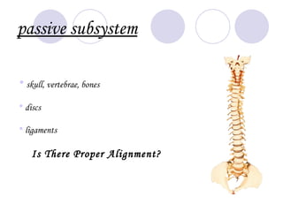 passive subsystem

• skull, vertebrae, bones

• discs

• ligaments

    Is There Proper Alignment?
 
