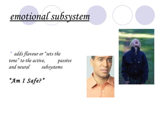 emotional subsystem


• adds flavour or “sets the
tone” to the active,      passive
and neural        subsystems

“Am I Safe?”
 