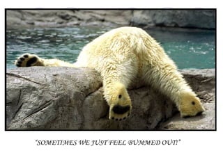 “SOMETIMES WE JUST FEEL BUMMED OUT!”
 
