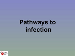 Pathways to
  infection
 