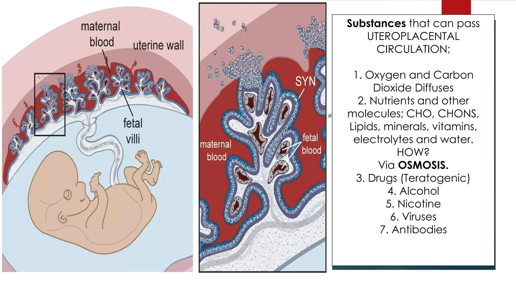 Substances that can pass
UTEROPLACENTAL
CIRCULATION;
1. Oxygen and Carbon
Dioxide Diffuses
2. Nutrients and other
molecules; CHO, CHONS,
Lipids, minerals, vitamins,
electrolytes and water.
HOW?
Via OSMOSIS.
3. Drugs (Teratogenic)
4. Alcohol
5. Nicotine
6. Viruses
7. Antibodies
 