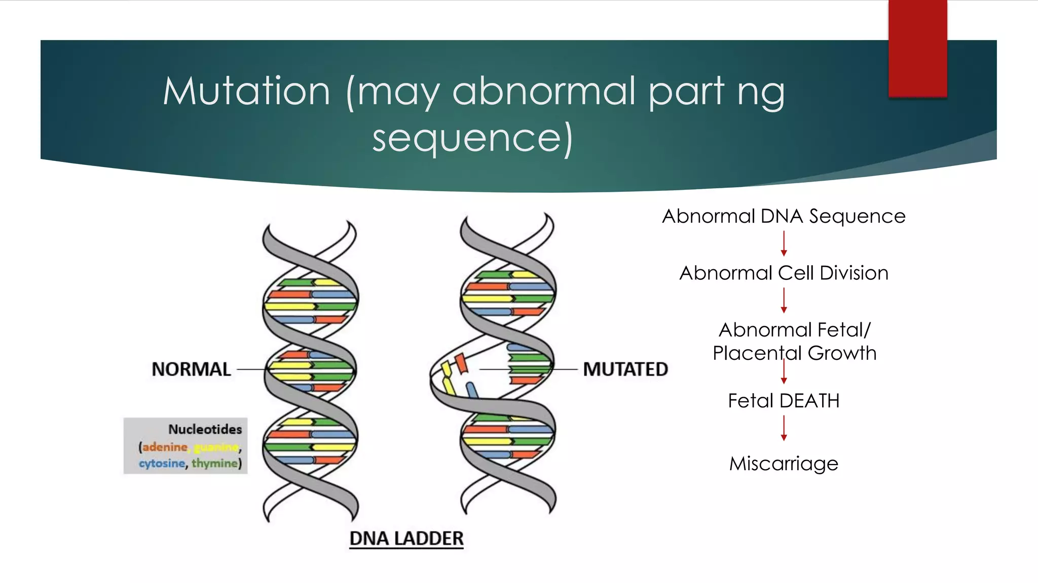 Mutation (may abnormal part ng
sequence)
Abnormal DNA Sequence
Abnormal Cell Division
Abnormal Fetal/
Placental Growth
Fetal DEATH
Miscarriage
 