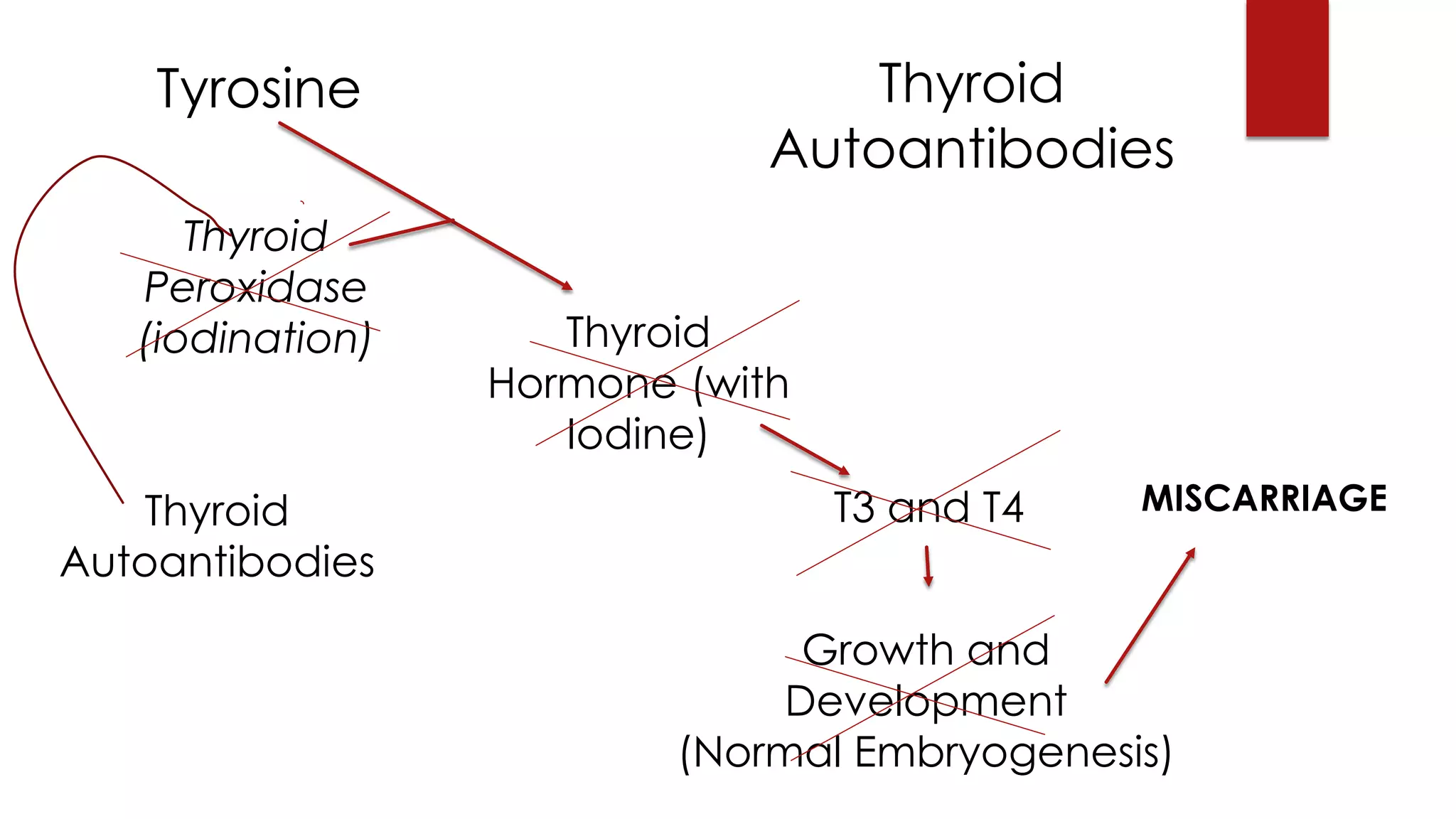 Tyrosine
Thyroid
Peroxidase
(iodination) Thyroid
Hormone (with
Iodine)
T3 and T4
Growth and
Development
(Normal Embryogenesis)
Thyroid
Autoantibodies
MISCARRIAGE
Thyroid
Autoantibodies
 