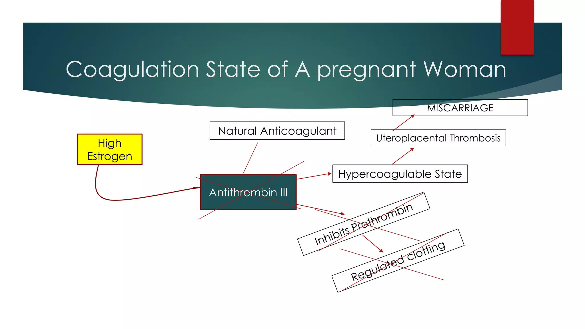 Coagulation State of A pregnant Woman
High
Estrogen
Antithrombin III
Natural Anticoagulant
Hypercoagulable State
Uteroplacental Thrombosis
MISCARRIAGE
 
