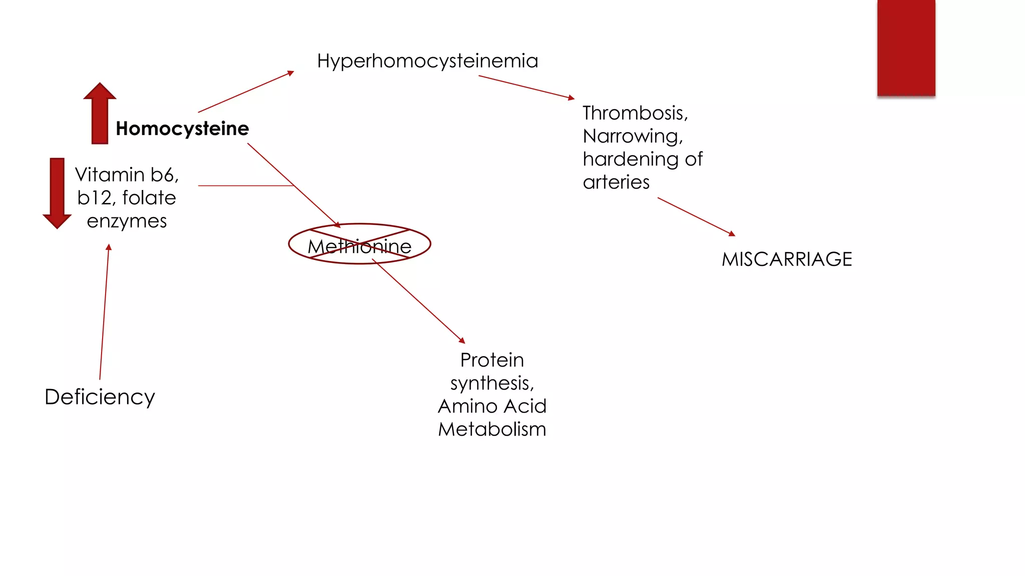Homocysteine
Methionine
Protein
synthesis,
Amino Acid
Metabolism
Vitamin b6,
b12, folate
enzymes
Deficiency
Hyperhomocysteinemia
Thrombosis,
Narrowing,
hardening of
arteries
MISCARRIAGE
 