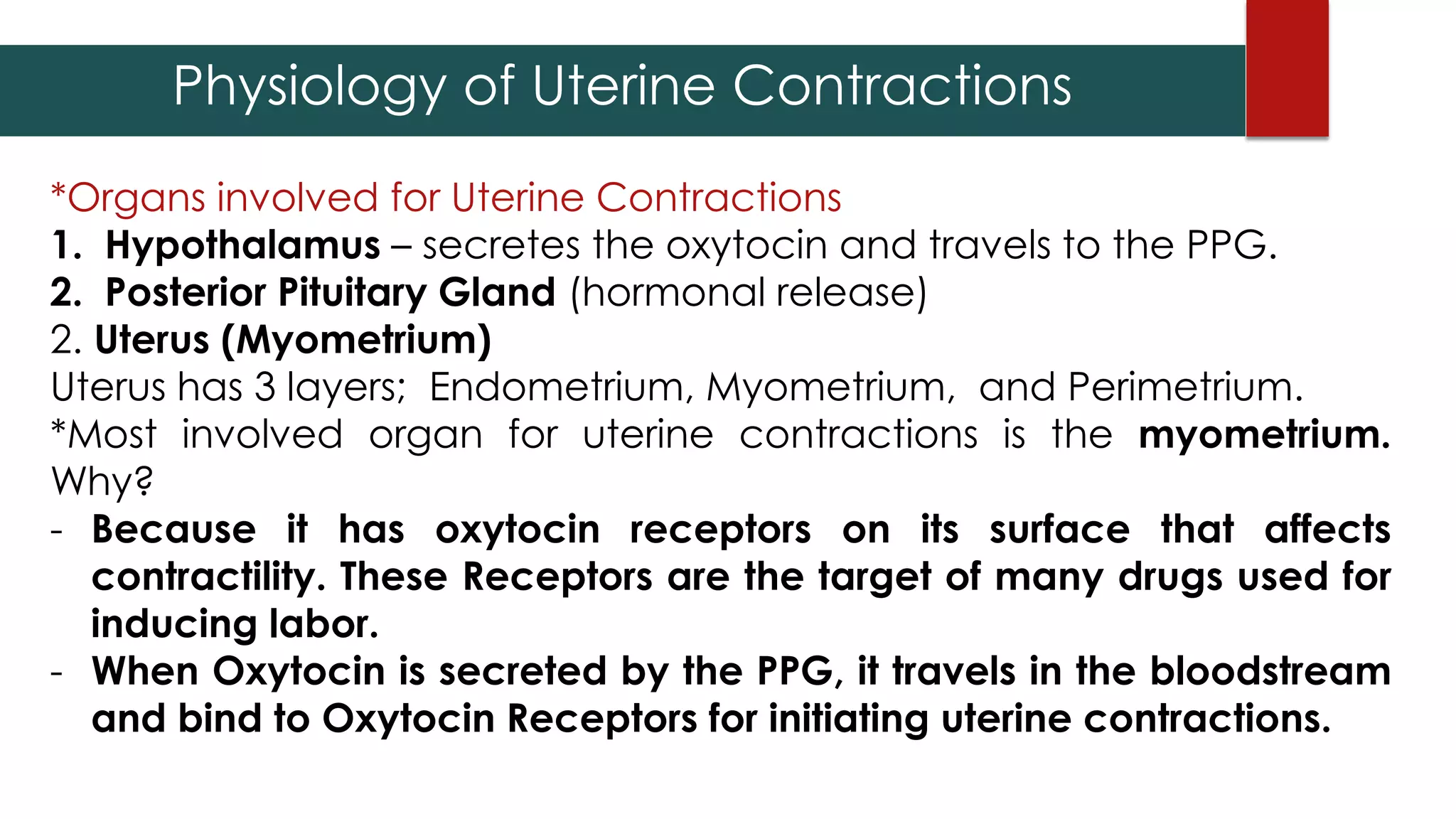 Physiology of Uterine Contractions
*Organs involved for Uterine Contractions
1. Hypothalamus – secretes the oxytocin and travels to the PPG.
2. Posterior Pituitary Gland (hormonal release)
2. Uterus (Myometrium)
Uterus has 3 layers; Endometrium, Myometrium, and Perimetrium.
*Most involved organ for uterine contractions is the myometrium.
Why?
- Because it has oxytocin receptors on its surface that affects
contractility. These Receptors are the target of many drugs used for
inducing labor.
- When Oxytocin is secreted by the PPG, it travels in the bloodstream
and bind to Oxytocin Receptors for initiating uterine contractions.
 