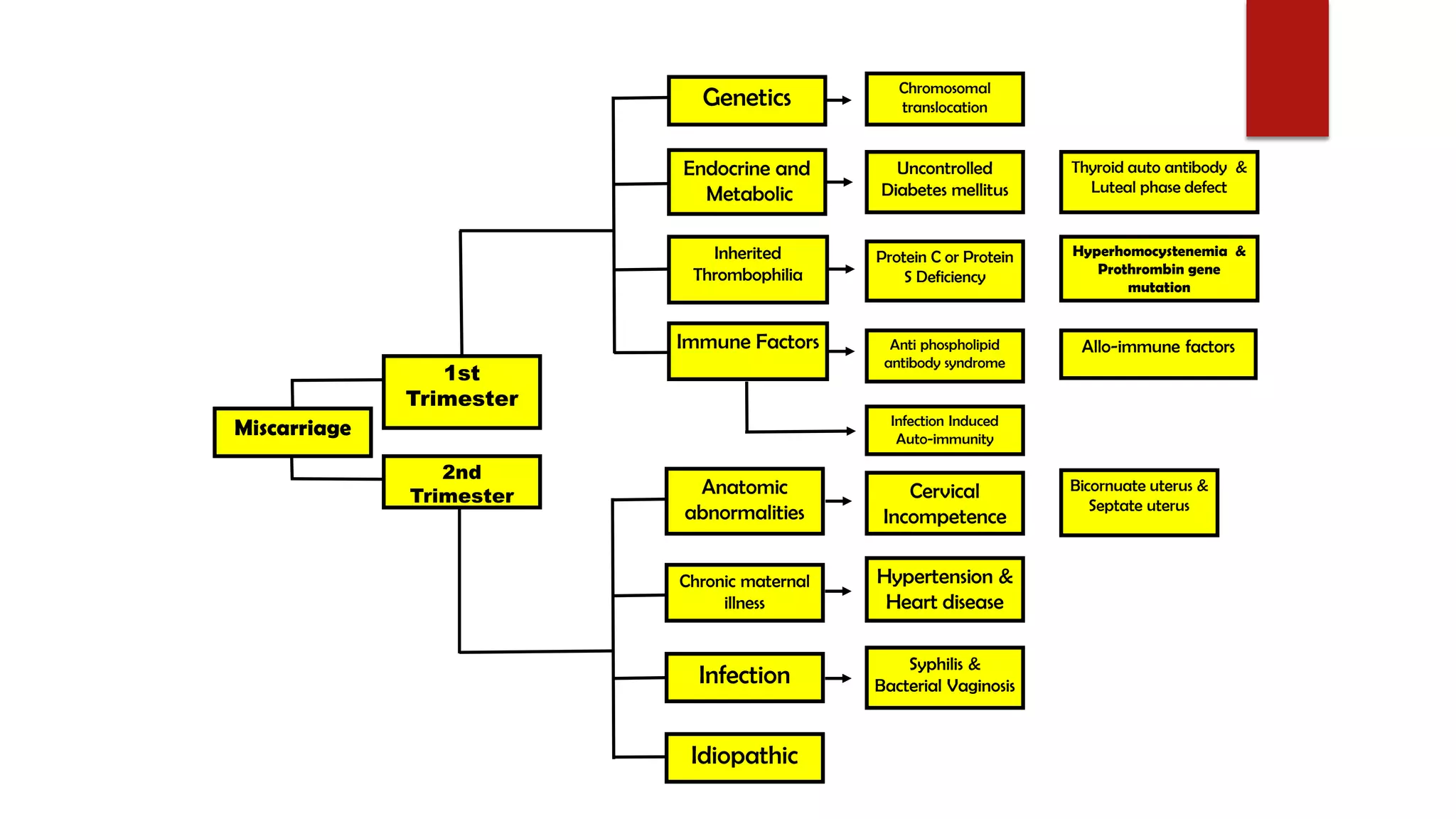 2nd
Trimester
1st
Trimester
Miscarriage
Bicornuate uterus &
Septate uterus
Syphilis &
Bacterial Vaginosis
Hypertension &
Heart disease
Cervical
Incompetence
Idiopathic
Infection
Chronic maternal
illness
Anatomic
abnormalities
Inherited
Thrombophilia
Infection Induced
Auto-immunity
Anti phospholipid
antibody syndrome
Protein C or Protein
S Deficiency
Uncontrolled
Diabetes mellitus
Chromosomal
translocation
Allo-immune factors
Thyroid auto antibody &
Luteal phase defect
Hyperhomocystenemia &
Prothrombin gene
mutation
Immune Factors
Genetics
Endocrine and
Metabolic
 