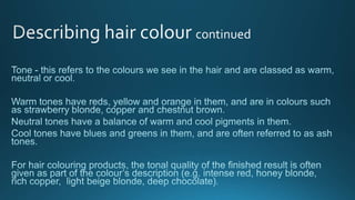 Level 3 colour theory