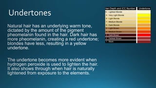 Level 3 colour theory