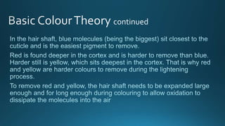 Level 3 colour theory