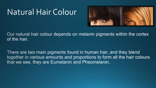 Level 3 colour theory