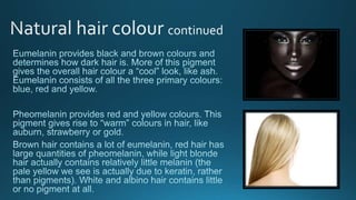 Level 3 colour theory